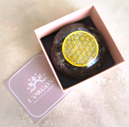 Galet Orgonite - Tourmaline noire, Labradorite